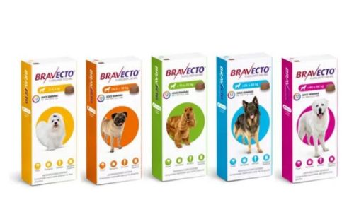 Bravecto tabletta kutyáknak - 5 féle kiszerelés