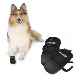 Kutyacipő Walker Care M 2db/Csomag