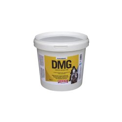 DMG  - Dimetilglicin por állatgyógyászati gyógyhatású termék