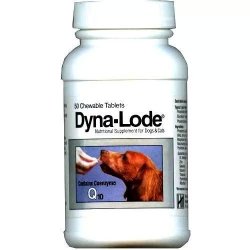 DYNA-LODE tabletta 50 db